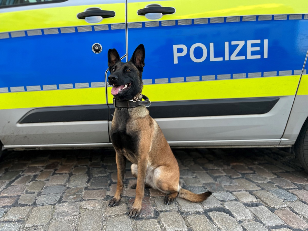 Sieben Männer nach Einbruch in Lagerhalle in Hamburg-Wilhelmsburg festgenommen